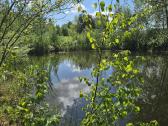 Parduodu žemės sklypą Širvintų raj. - nuotraukos Nr. 2