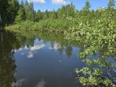 Parduodu žemės sklypą Širvintų raj. - nuotraukos Nr. 3