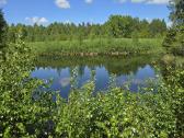 Parduodu žemės sklypą Širvintų raj. - nuotraukos Nr. 5