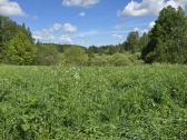 Parduodu žemės sklypą Širvintų raj. - nuotraukos Nr. 10