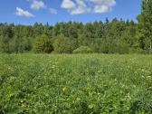 Parduodu žemės sklypą Širvintų raj. - nuotraukos Nr. 11