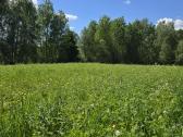 Parduodu žemės sklypą Širvintų raj. - nuotraukos Nr. 13