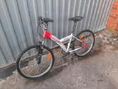 Dviratis Texo sport