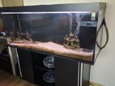 Parduodamas 500l akvariumas su spintele ir įranga
