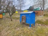 Parduodami aviliai su rėmeliais Vilniaus raj - nuotraukos Nr. 2