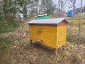 Parduodami aviliai su rėmeliais Vilniaus raj - nuotraukos Nr. 3