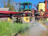 Hardi mega - nuotraukos Nr. 2