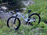 Scott spark RC Team
