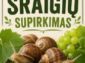 Superka vynuogines Sraiges