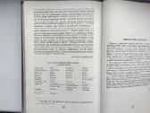 V. Pietaris. Algimantas - nuotraukos Nr. 7