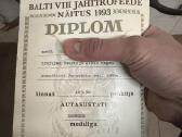 Elnio medaliniai ragai - nuotraukos Nr. 5