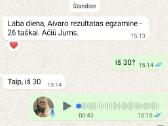 Lietuvių kalbos mokytoja korepetitorė - nuotraukos Nr. 30