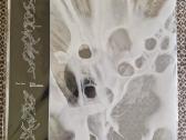 Elori Saxl – Drifts And Surfaces / Vinyl Lp on Cle