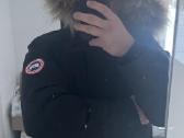 Canada goose striukė