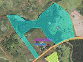 Parduodami du sklypai Zarasų r., 15,87 ha - nuotraukos Nr. 2