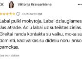 Papildomos anglų k. pamokos Kaune arba nuotoliu - nuotraukos Nr. 3
