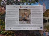 Puzzle - nuotraukos Nr. 4