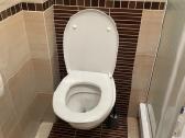 Vegos rėmas, migtukas ir WC puodas su dangciu
