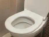 Vegos rėmas, migtukas ir WC puodas su dangciu - nuotraukos Nr. 2