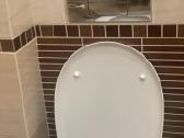 Vegos rėmas, migtukas ir WC puodas su dangciu - nuotraukos Nr. 3