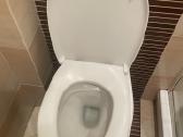Vegos rėmas, migtukas ir WC puodas su dangciu - nuotraukos Nr. 4