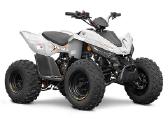 Linhai Atv 110 4x2 Efi Vaikiškas Keturratis - nuotraukos Nr. 2