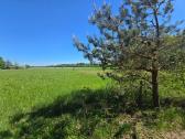 Parduodamas 1,50 ha sklypas, Skomantai - nuotraukos Nr. 3
