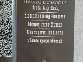 Albumas R.dichavičius Žiedai tarp žiedų - nuotraukos Nr. 6
