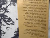 Knyga Ona Pajedaitė „Ji buvo Simonaitytė“ - nuotraukos Nr. 2