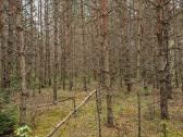 Parduodu sklypa Rodukos Kaime - nuotraukos Nr. 3