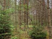 Parduodu sklypa Rodukos Kaime - nuotraukos Nr. 4