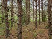 Parduodu sklypa Rodukos Kaime - nuotraukos Nr. 13