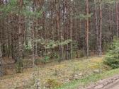 Parduodu sklypa Rodukos Kaime - nuotraukos Nr. 16
