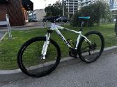 Dviratis Focus Black Forest MTB 29
