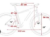 Dviratis Focus Black Forest MTB 29 - nuotraukos Nr. 3