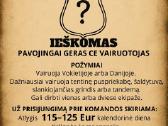 **Darbas CE vairuotojams kadencijomis po Europą**