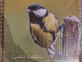 Rafael Toral - Spectral Evolution / Vinyl Lp