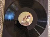 Rafael Toral - Spectral Evolution / Vinyl Lp - nuotraukos Nr. 4