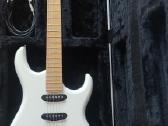 Gitara Cort G254