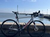 Specialized Roubaix comp 2019-2020