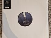 Sandwell District - End Beginnings Demos / Vinyl 1