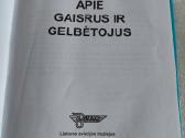 Apie gaisrus ir gelbėtojus - nuotraukos Nr. 2