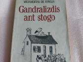 Gandralizdis ant stogo