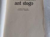 Gandralizdis ant stogo - nuotraukos Nr. 2