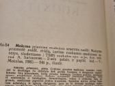 Mokymo priemonė medicinos seserims ruošti - nuotraukos Nr. 3