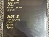 She Past Away – Part Time Punks Session / Vinyl L - nuotraukos Nr. 2
