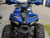 Benzininis keturratis Monkey Mudhawk 110