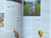 Dorling Kindersley kelionių vadovas „Tailandas" - nuotraukos Nr. 8