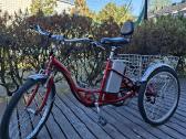 Izip Tricruiser Electric Tricycycle
