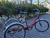 Izip Tricruiser Electric Tricycycle - nuotraukos Nr. 2